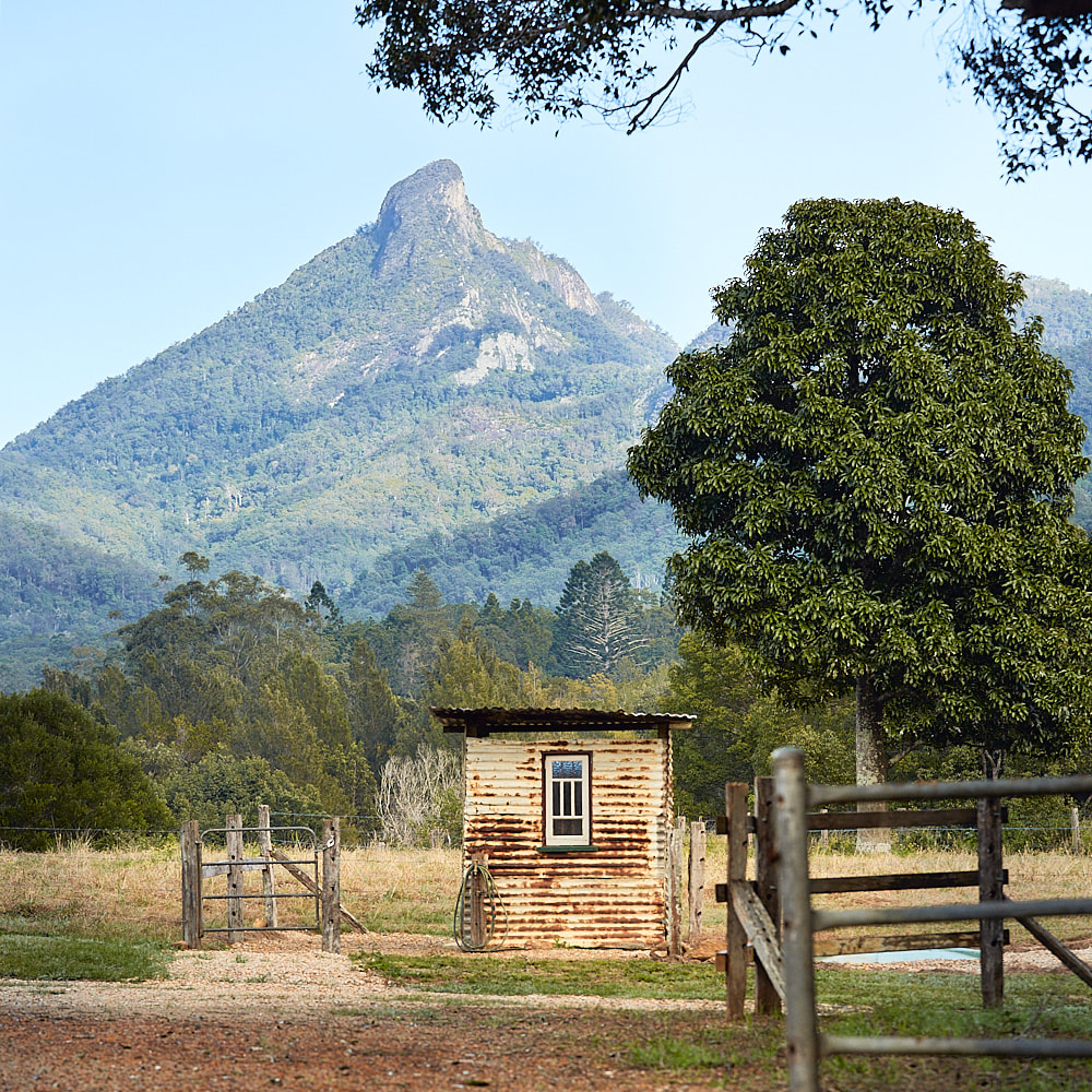 Beautiful mountain views at Luxury Self-contained cabins at Mt Warning Estate Accommodation Tweed Northern NSW
